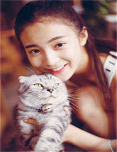 色情理论片精油按摩店/桃色视屏