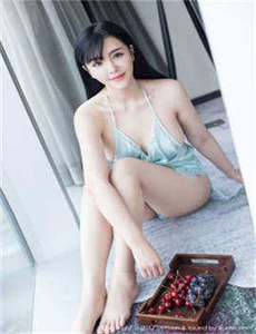 施公奇案2