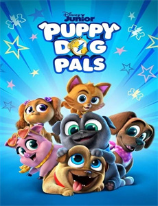 最美的时候遇见你