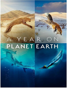 法网追凶 第二季