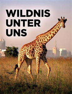 暮光之城2:新月