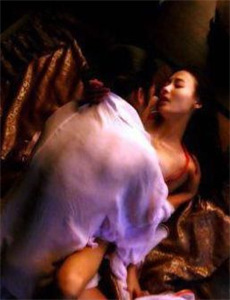 欢喜一家人之家族荣耀