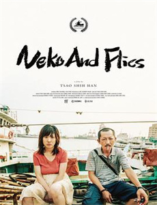 碧血剑窦智孔版